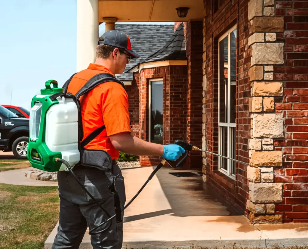 Professional Bed Bug Pest Control