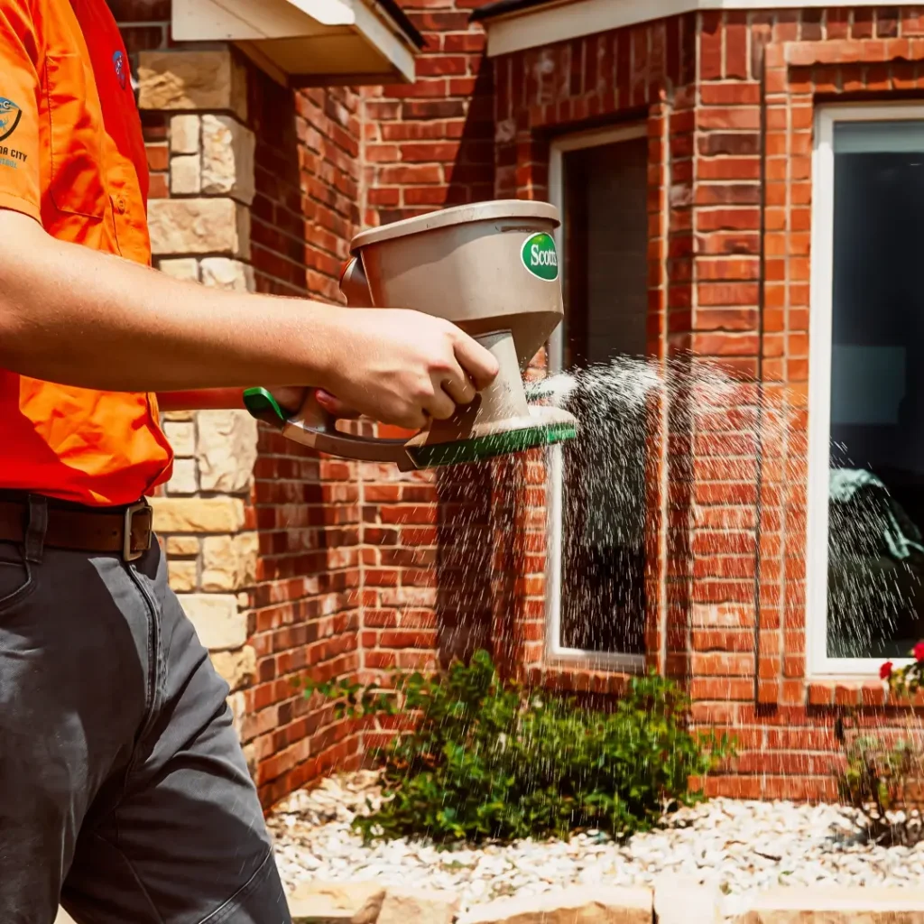Oklahoma City Pest Control Solutions
