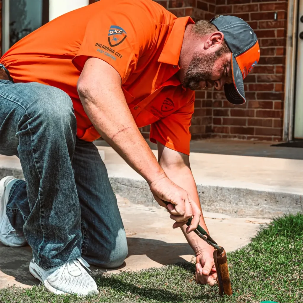 Pest Control OKC Service Professionals