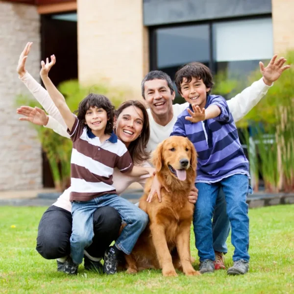 Termite Pest Control